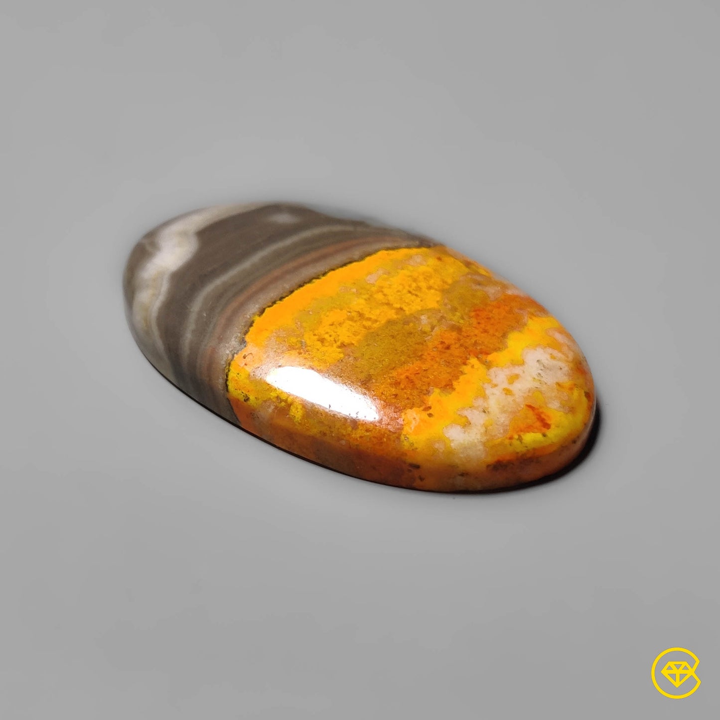 Bumble Bee Jasper