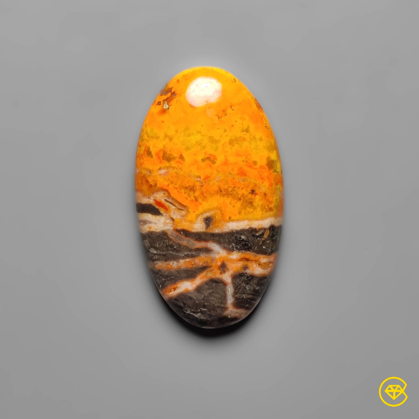 Bumble Bee Jasper