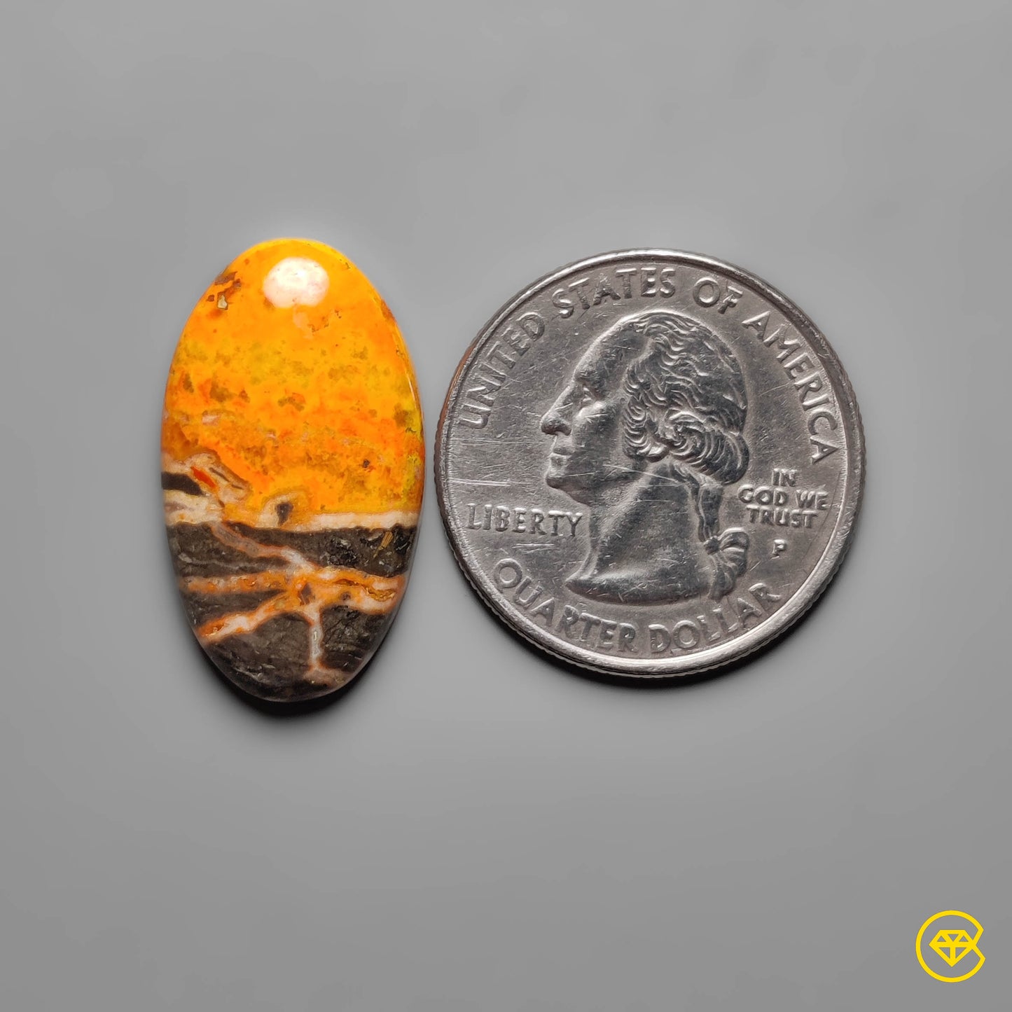 Bumble Bee Jasper