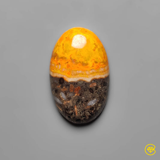 Bumble Bee Jasper