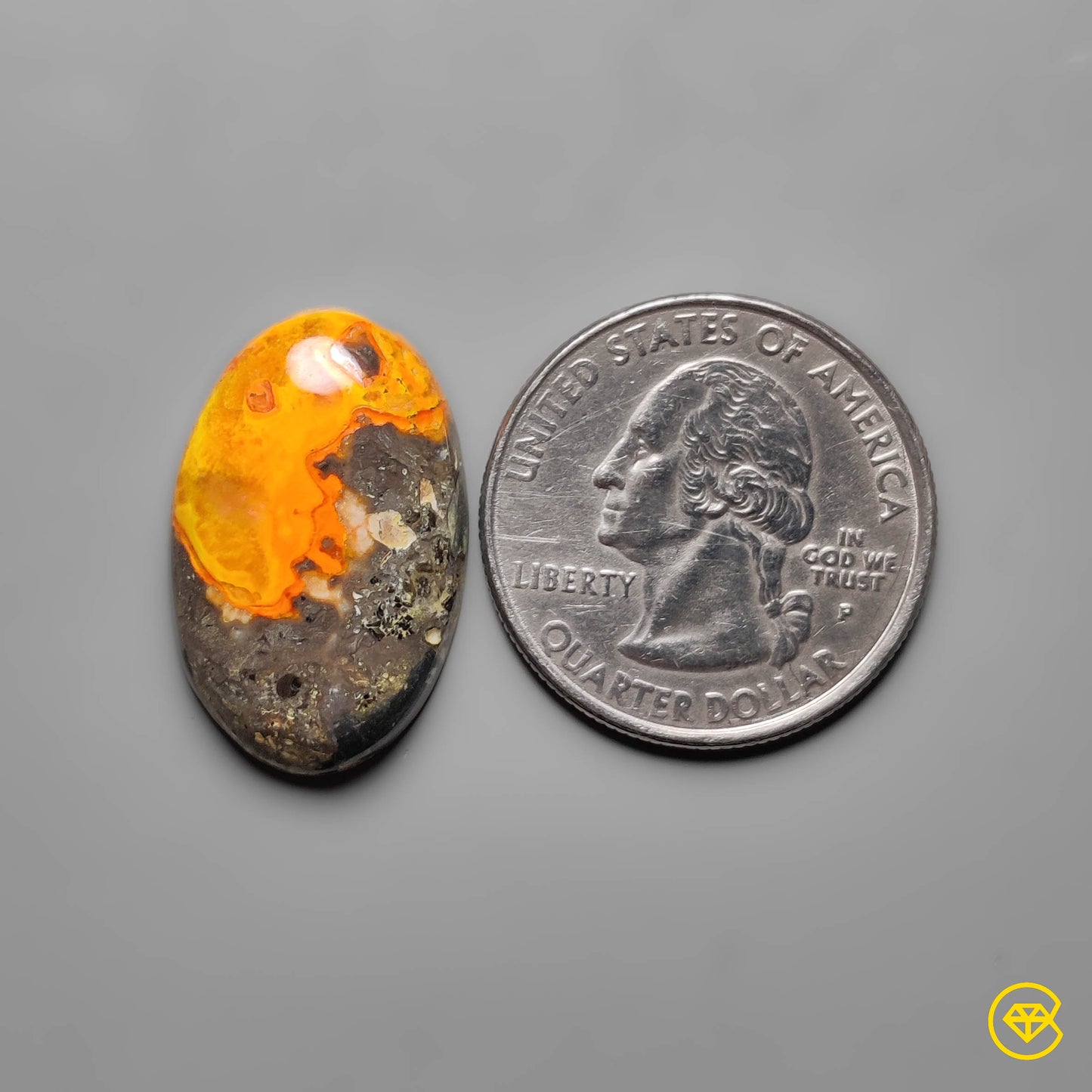 Bumble Bee Jasper