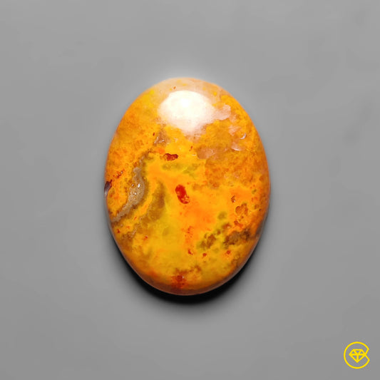 Bumble Bee Jasper