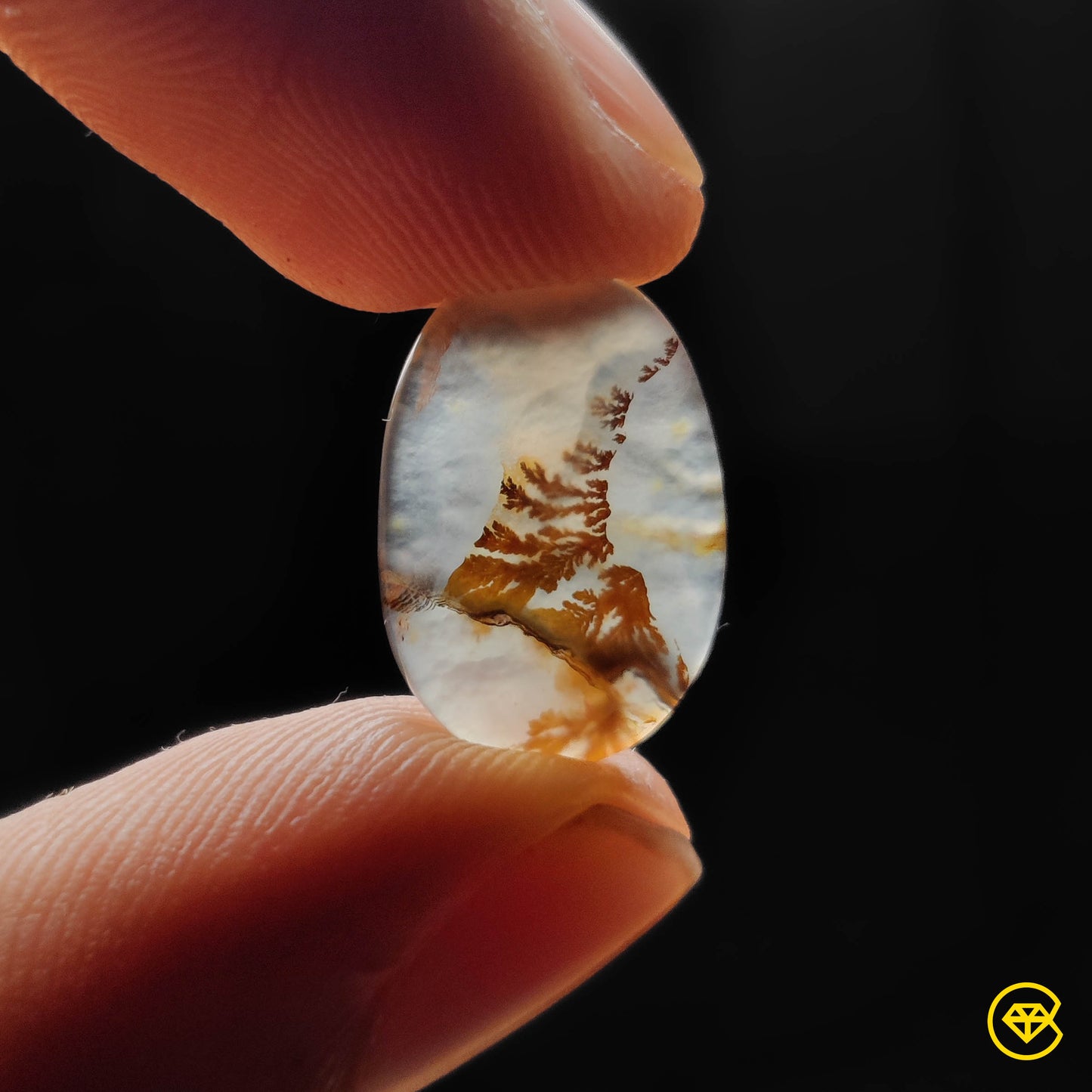 Scenic Agate