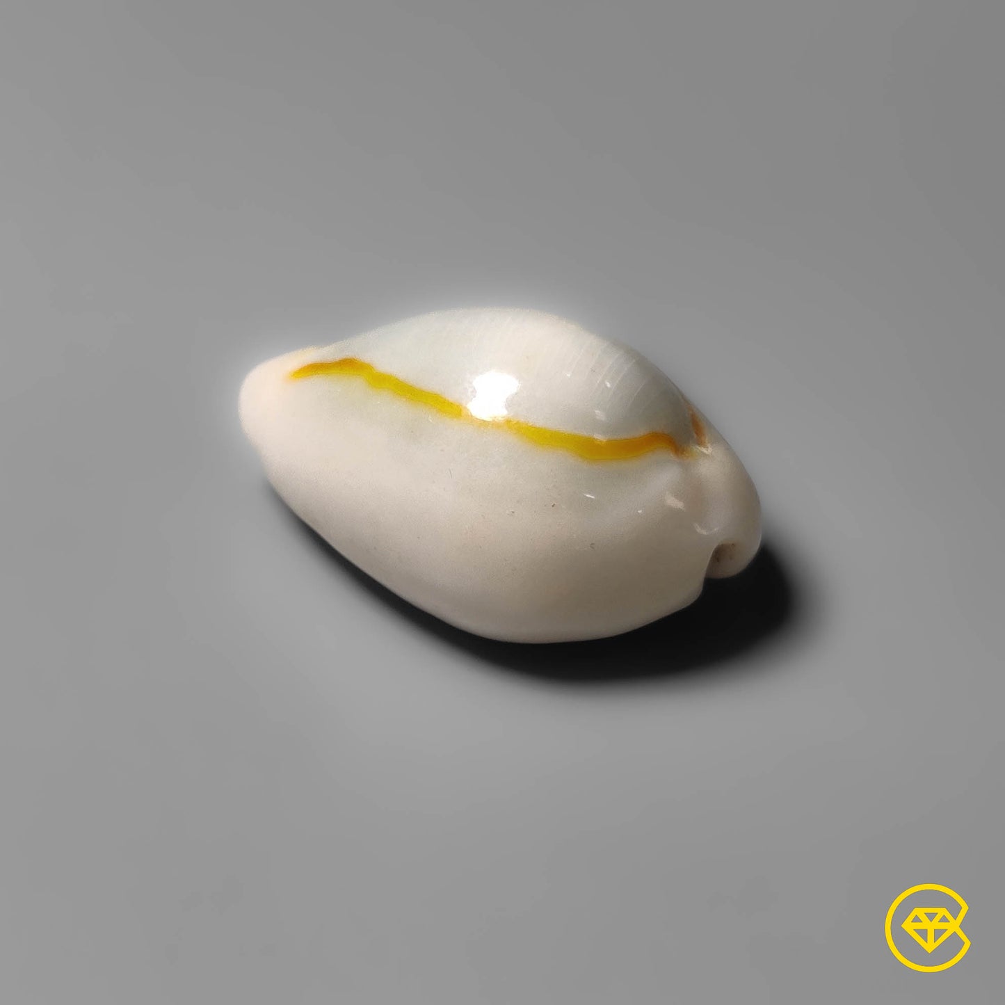 Shell