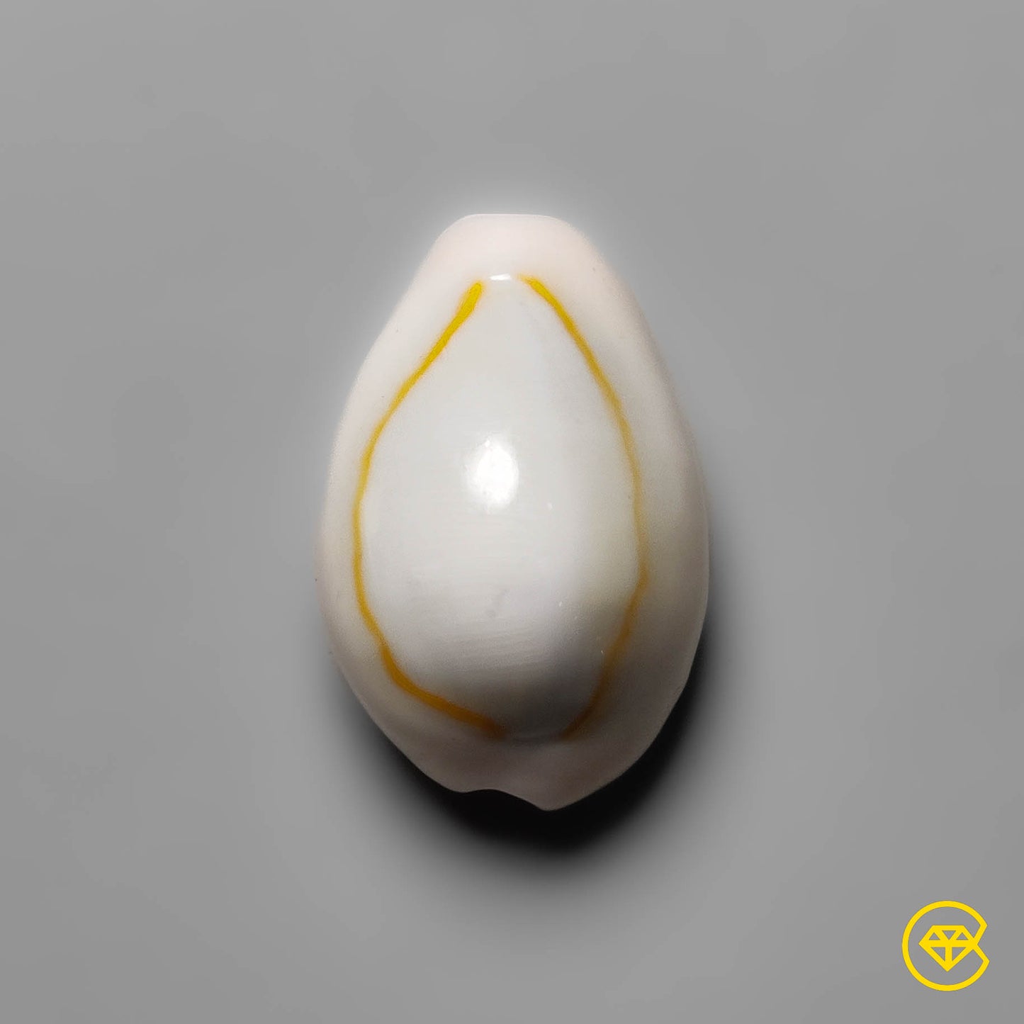 Shell