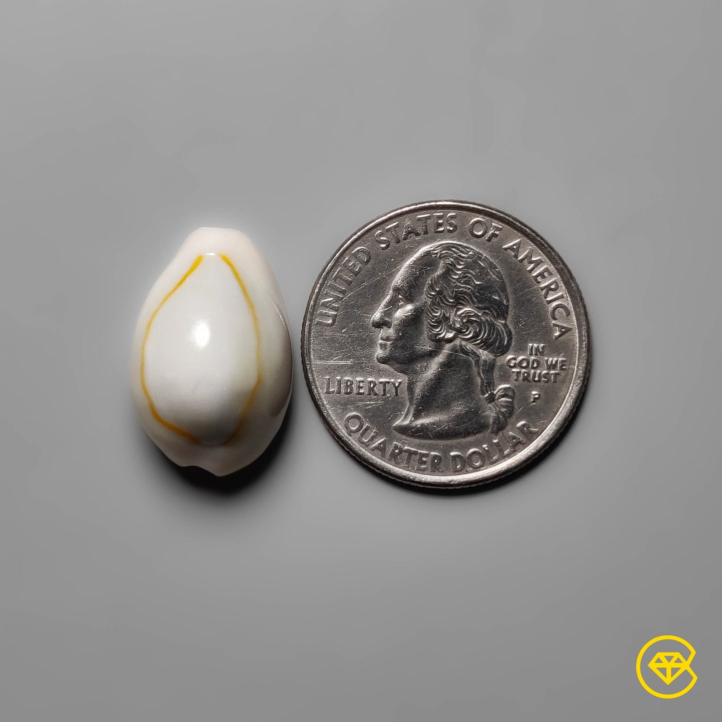 Shell
