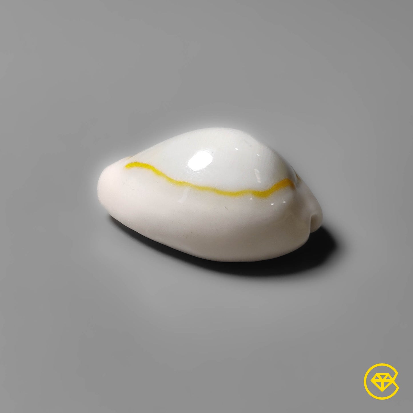 Shell