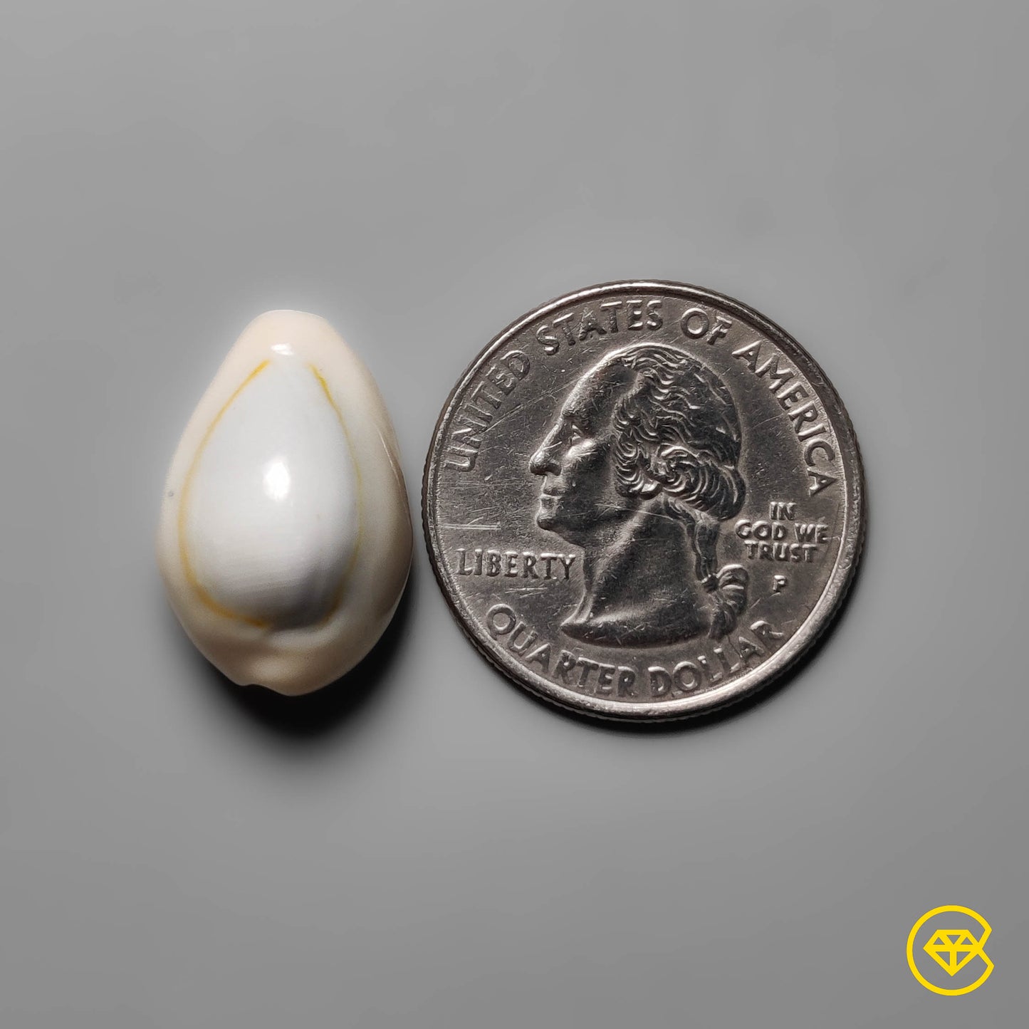 Shell