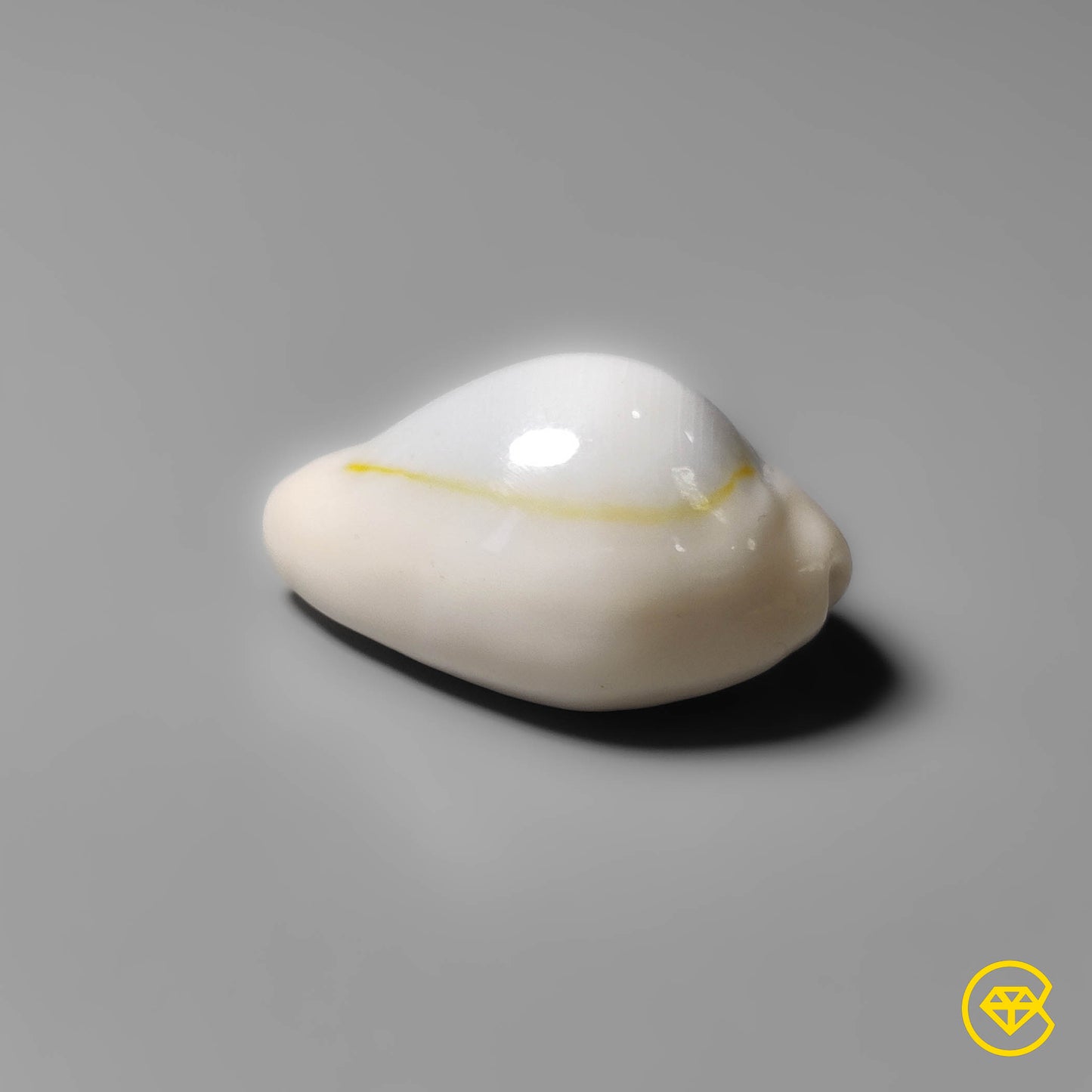 Shell