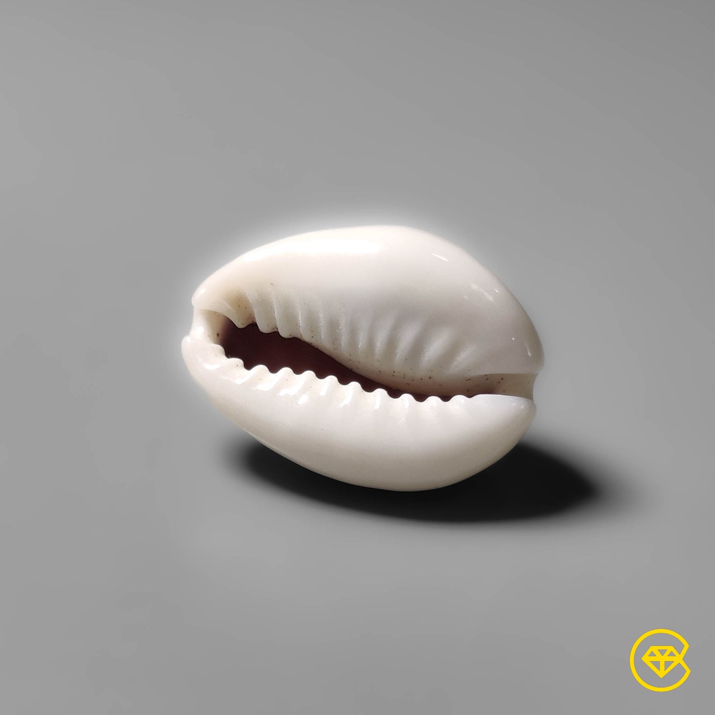Shell