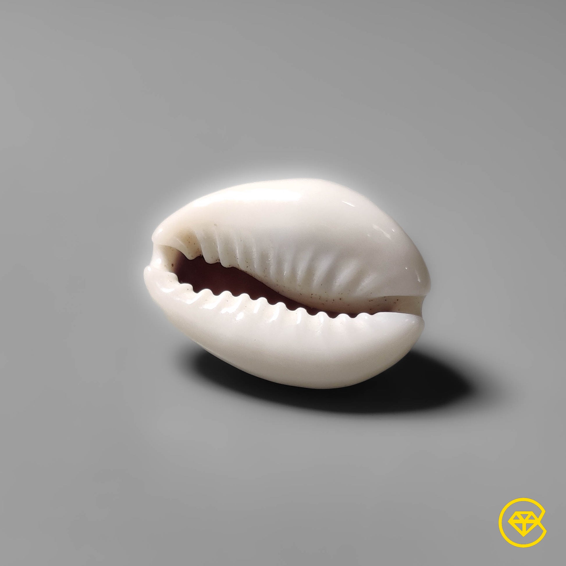Shell