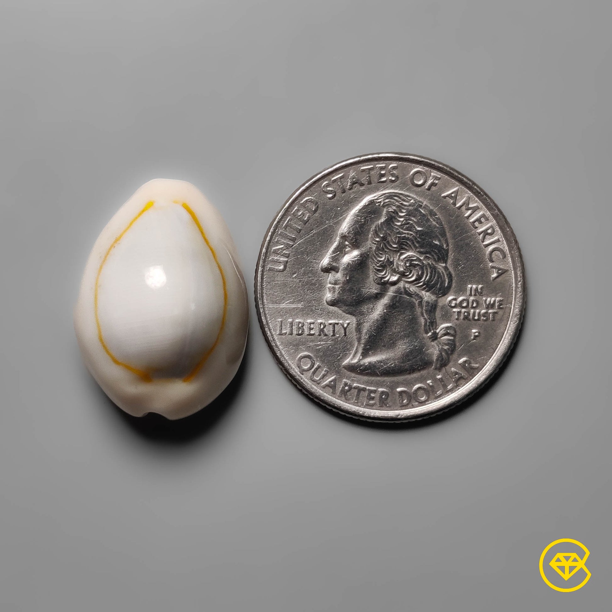 Shell