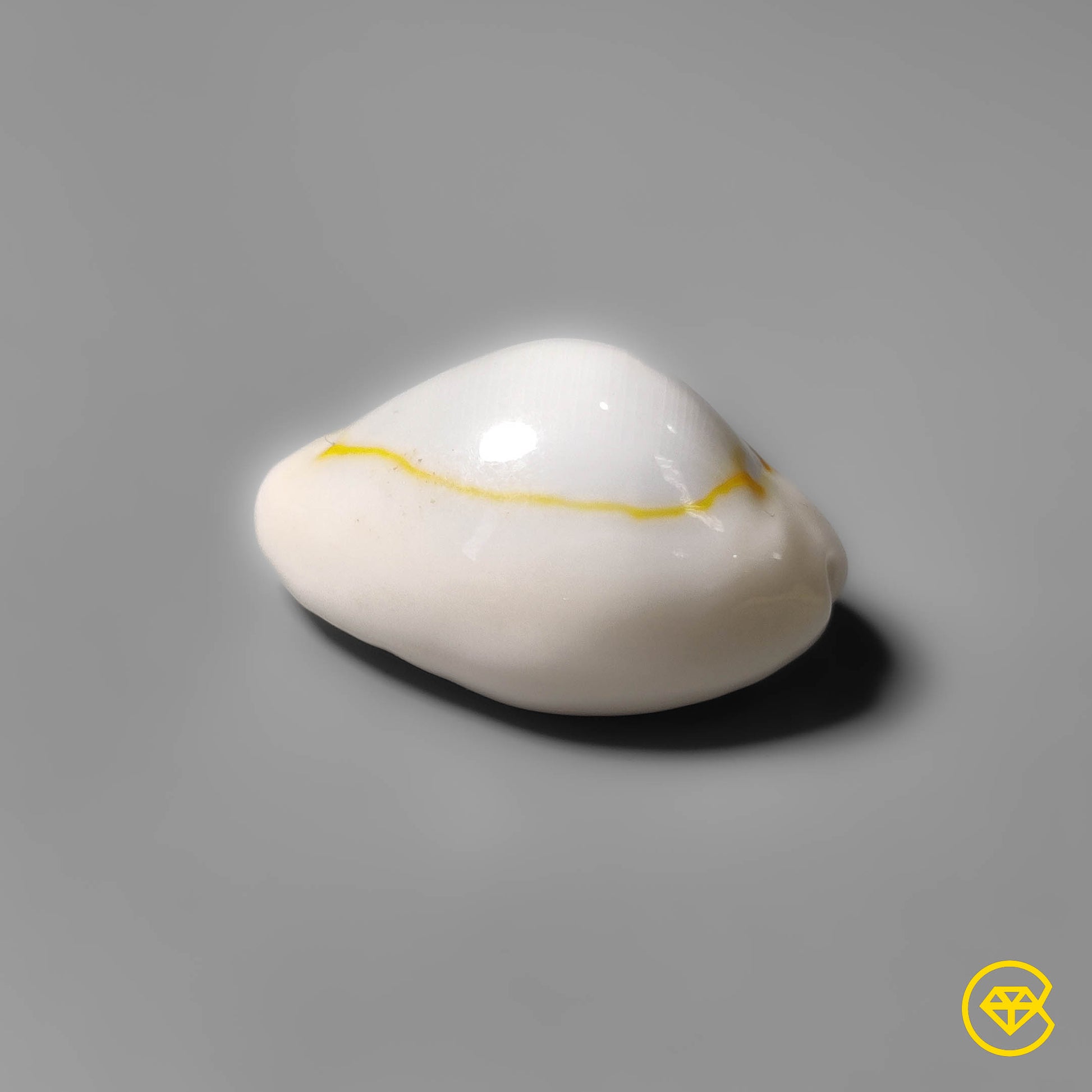 Shell