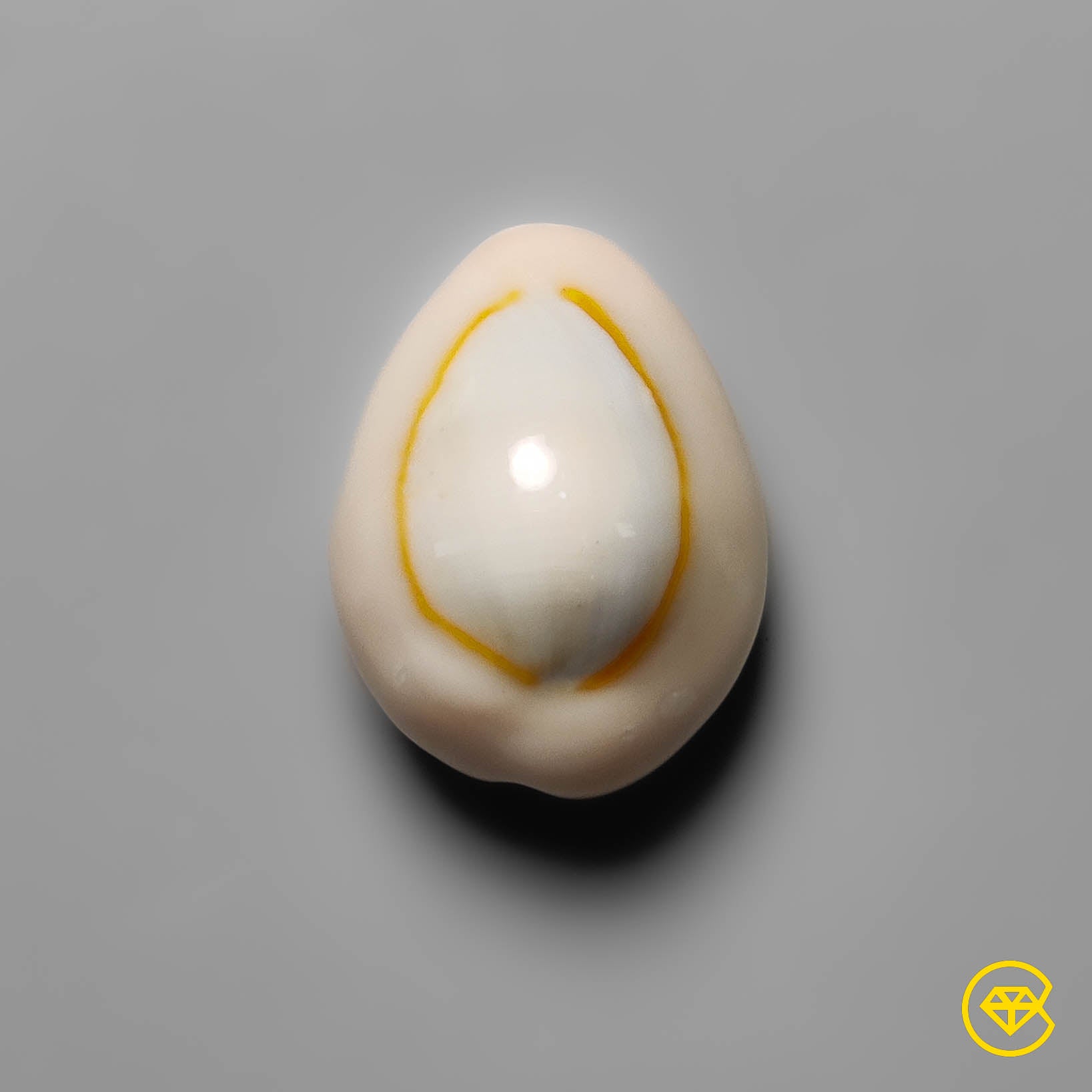 Shell