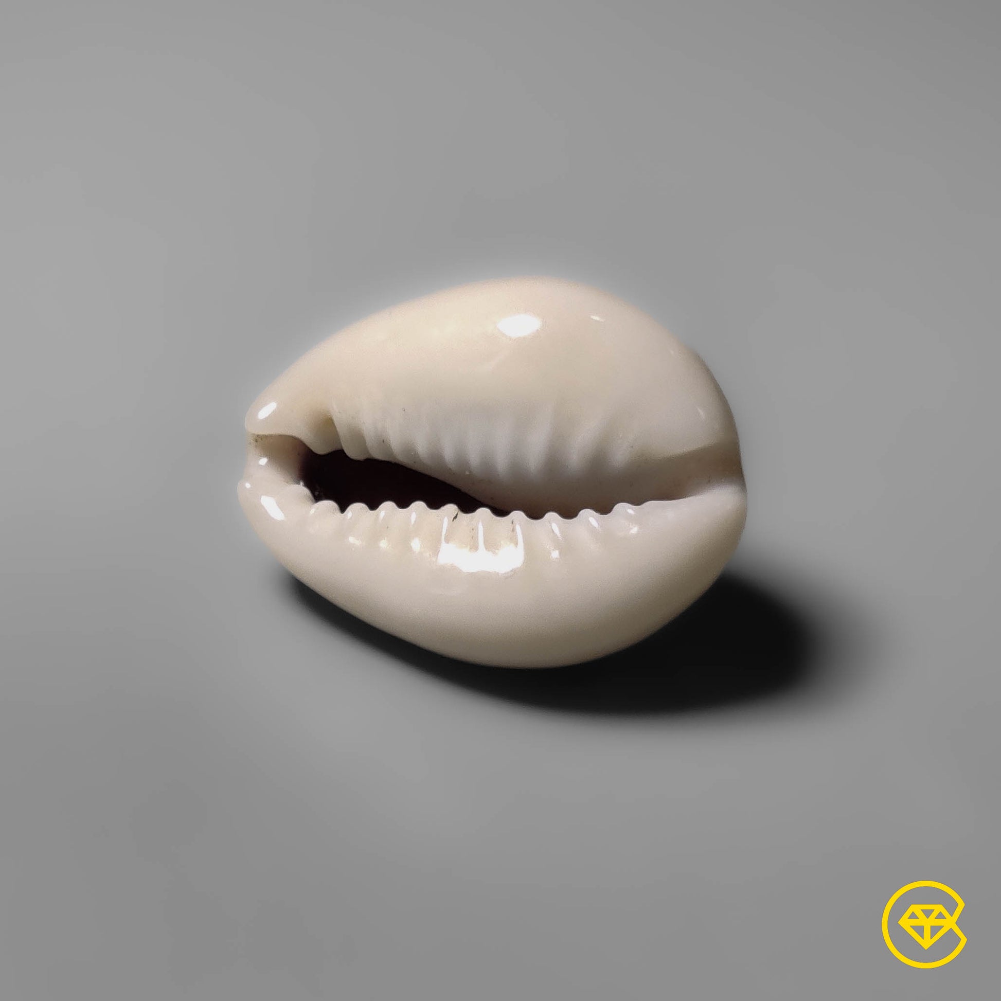 Shell