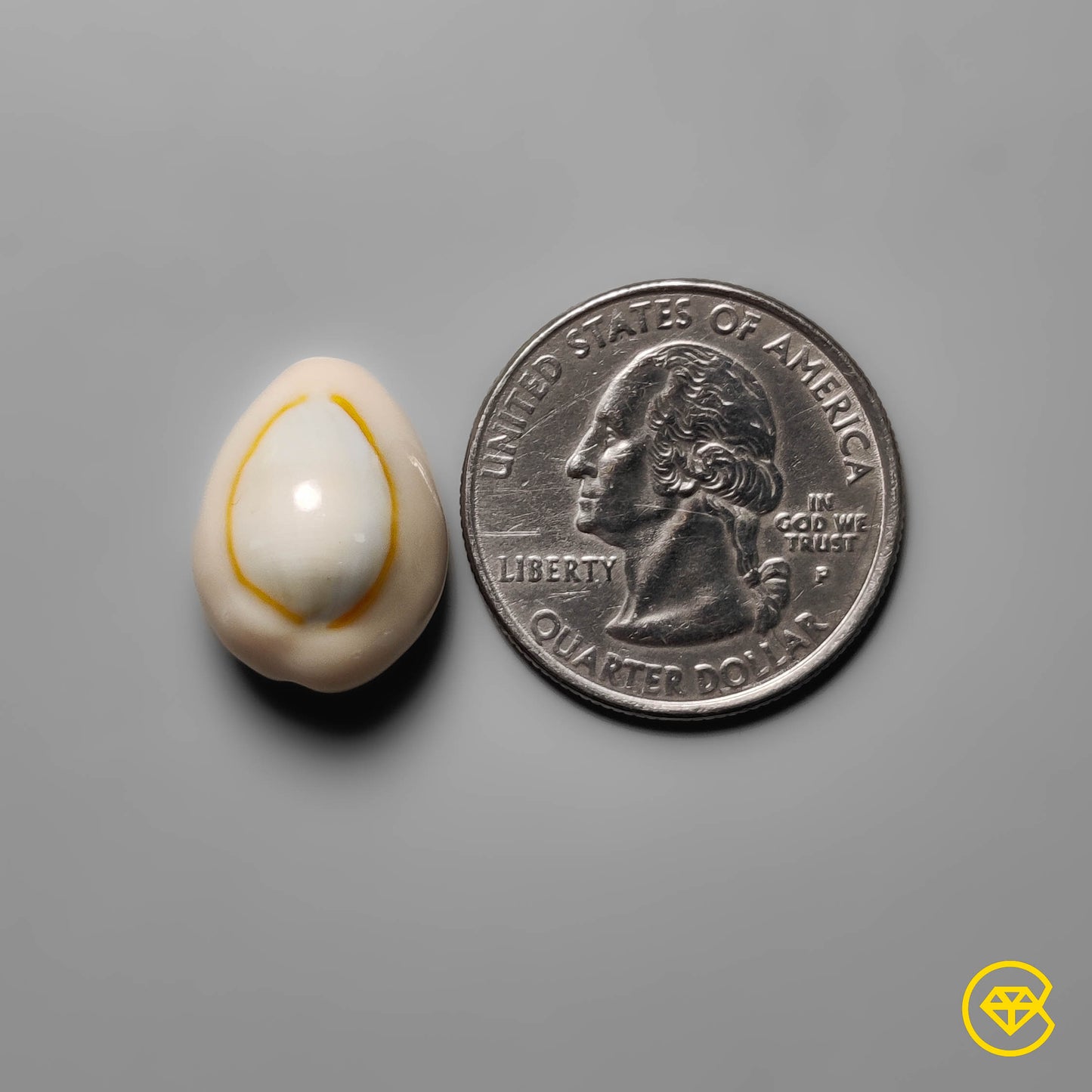 Shell