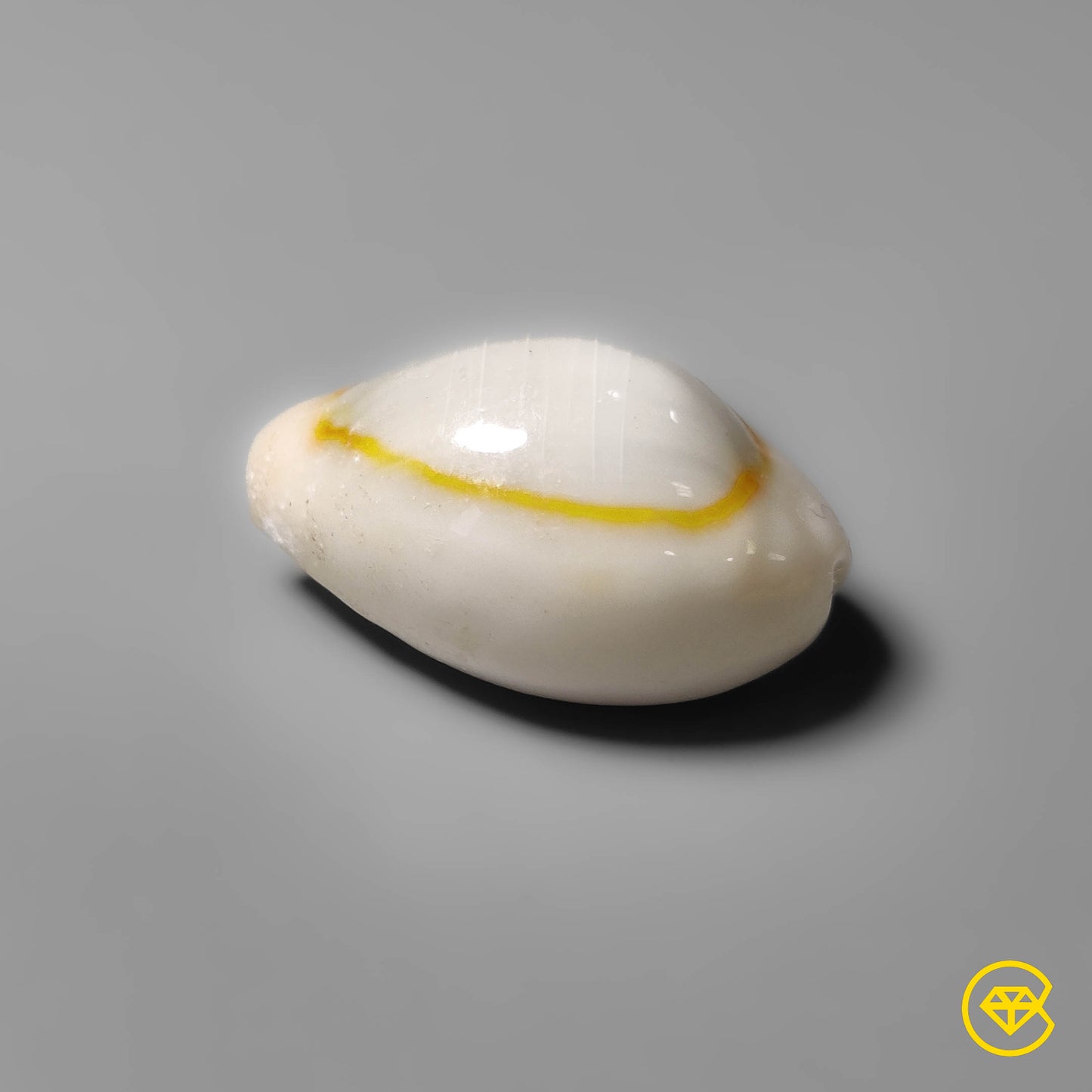 Shell