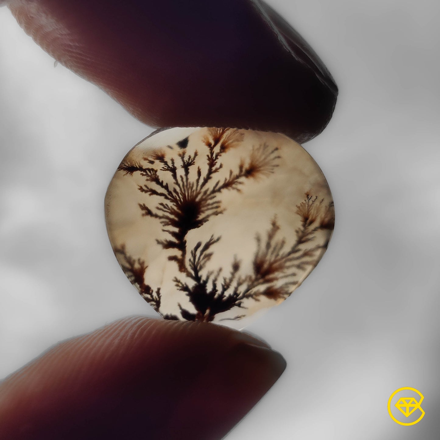 Scenic Agate