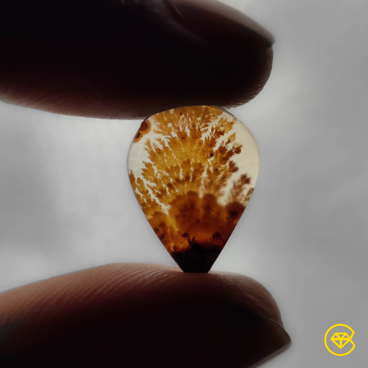Scenic Agate