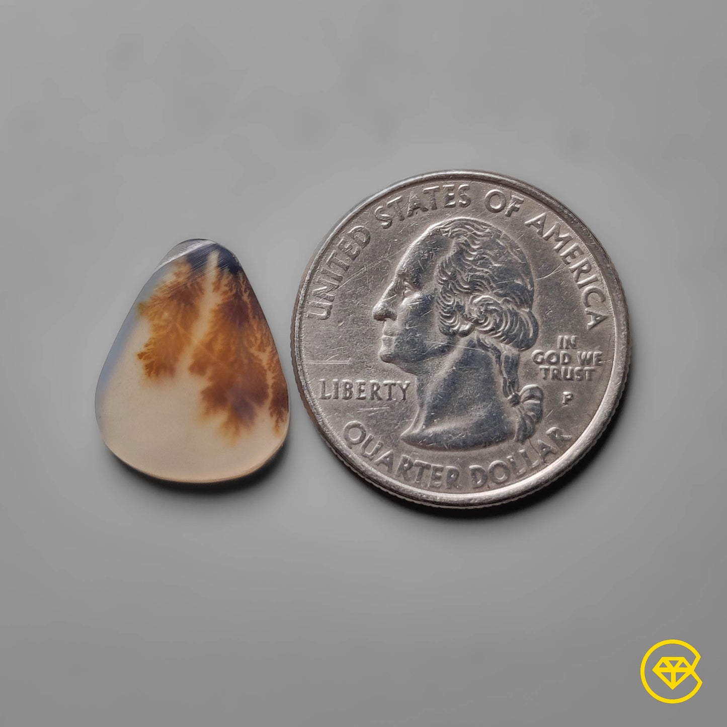 Scenic Agate