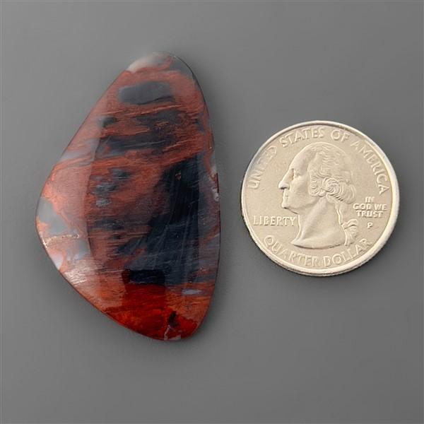 Petrified Wood|Wood