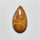 Fossil Coral