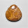Fossil Coral