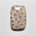 Fossil Coral