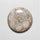 Fossil Coral