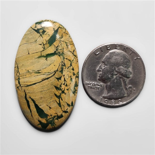 Picture Jasper