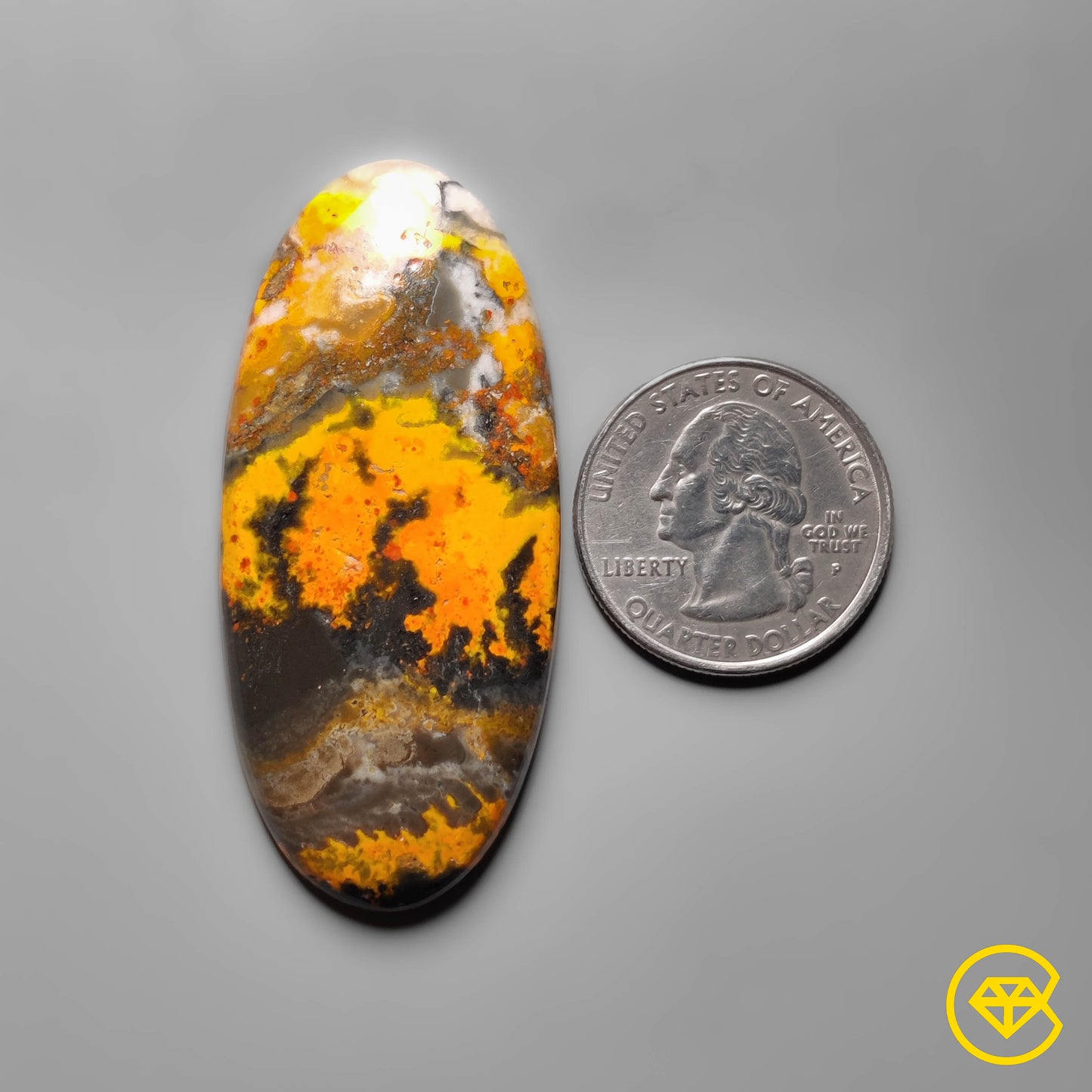 Bumble Bee Jasper