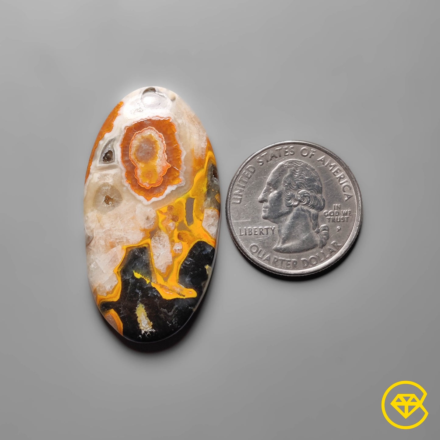 Bumble Bee Jasper