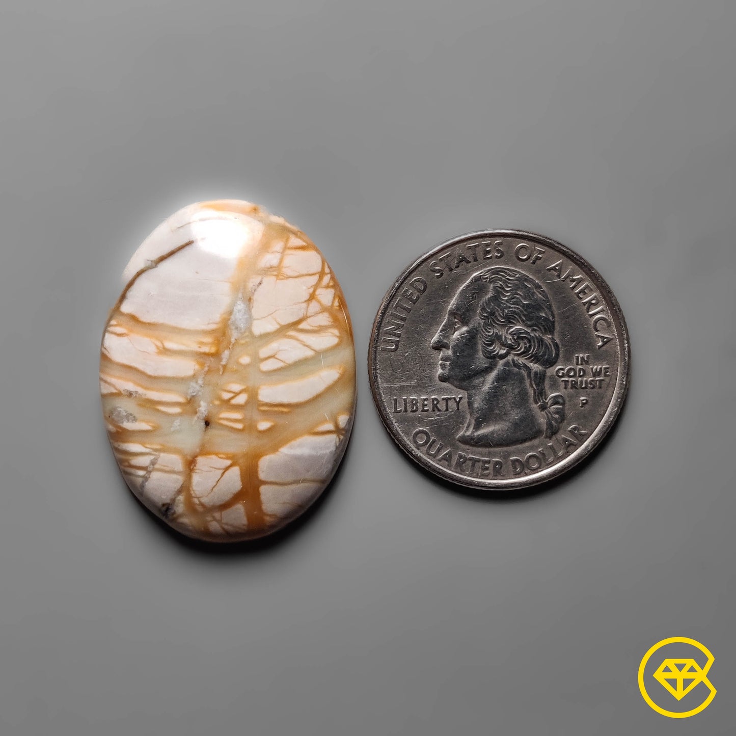 Picasso Jasper