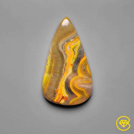 Bumble Bee Jasper