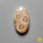 Fossil Coral