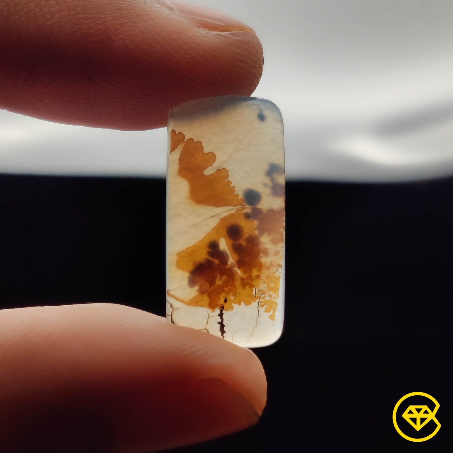Scenic Agate