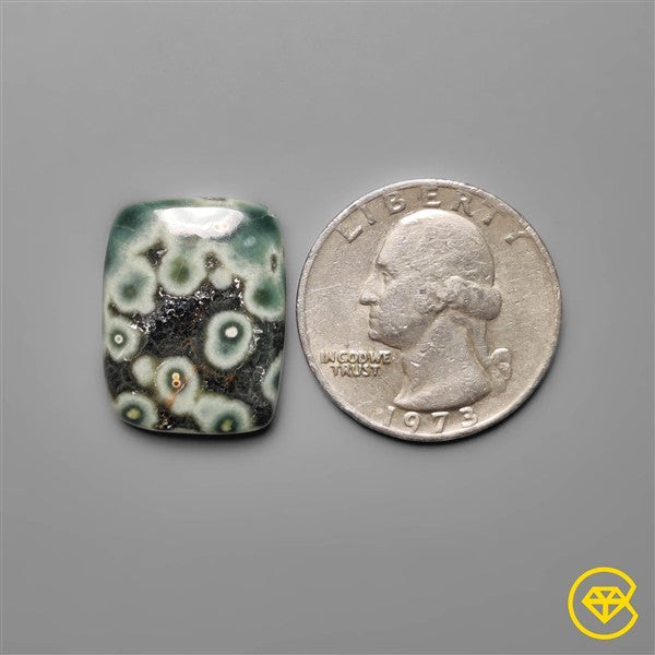 Ocean Jasper
