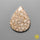 Fossil Coral