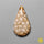 Fossil Coral