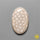 Fossil Coral