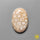 Fossil Coral