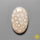 Fossil Coral