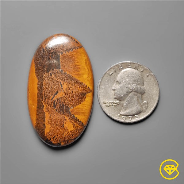 Tiger Eye