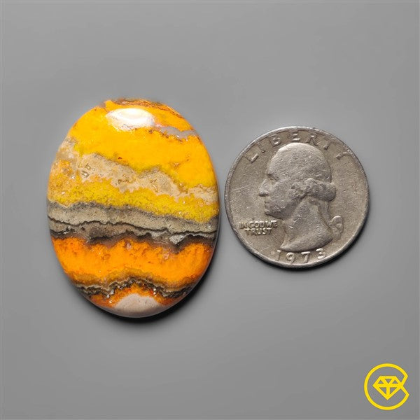Bumble Bee Jasper