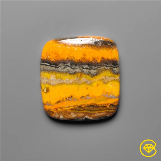 Bumble Bee Jasper