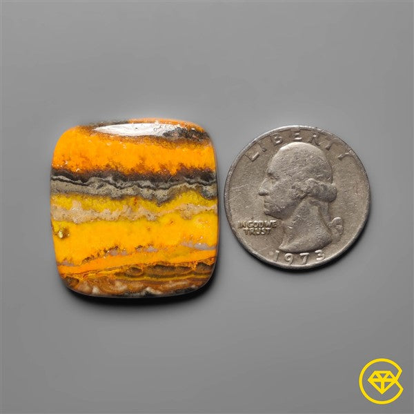 Bumble Bee Jasper