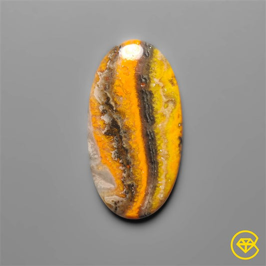 Bumble Bee Jasper