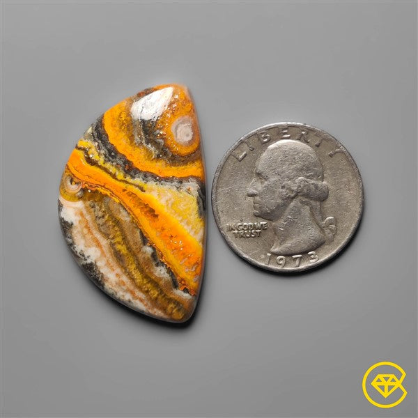 Bumble Bee Jasper