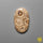 Fossil Coral