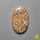 Fossil Coral